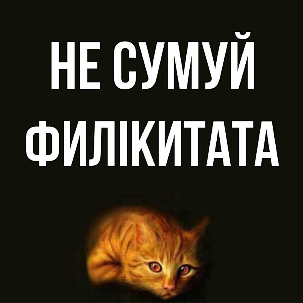 Открытка на каждый день з підписом, Филікитата Не сумуй лежащий кот в темноте Прикольна листівка з побажанням онлайн скачати безкоштовно 
