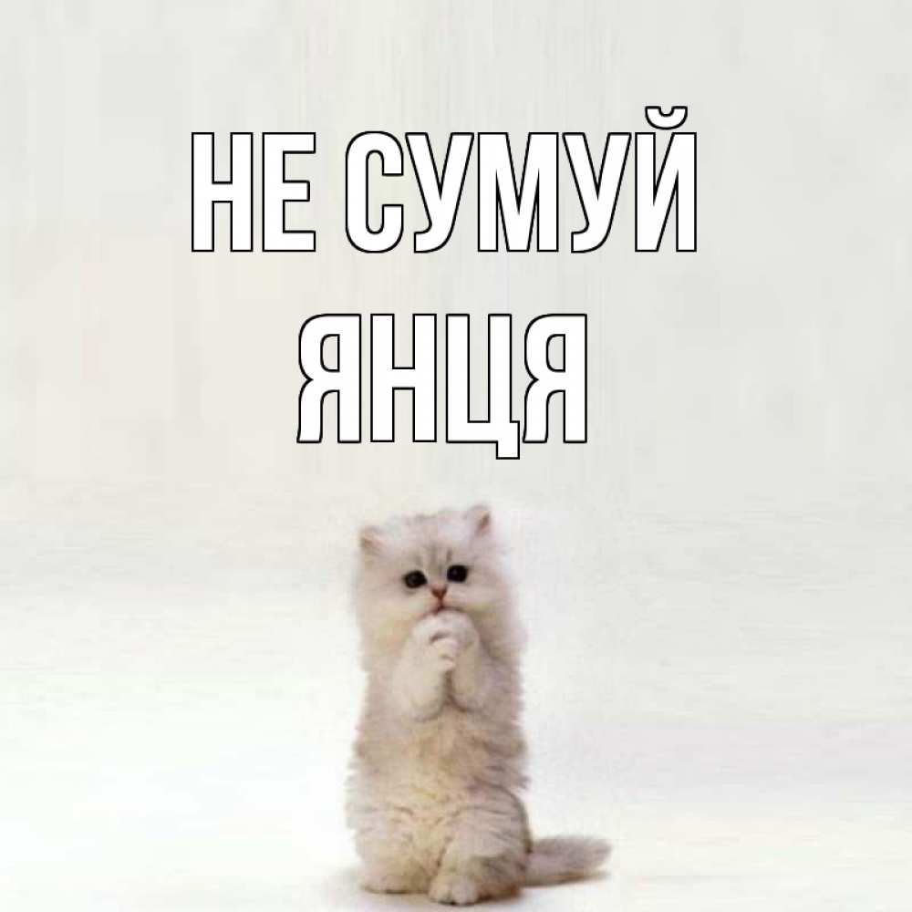 Открытка на каждый день з підписом, Янця Не сумуй грустный кот Прикольна листівка з побажанням онлайн скачати безкоштовно 