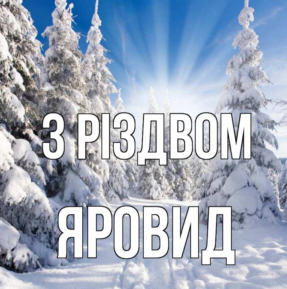 Открытка на каждый день з підписом, Яровид З Різдвом зима, лес Прикольна листівка з побажанням онлайн скачати безкоштовно 