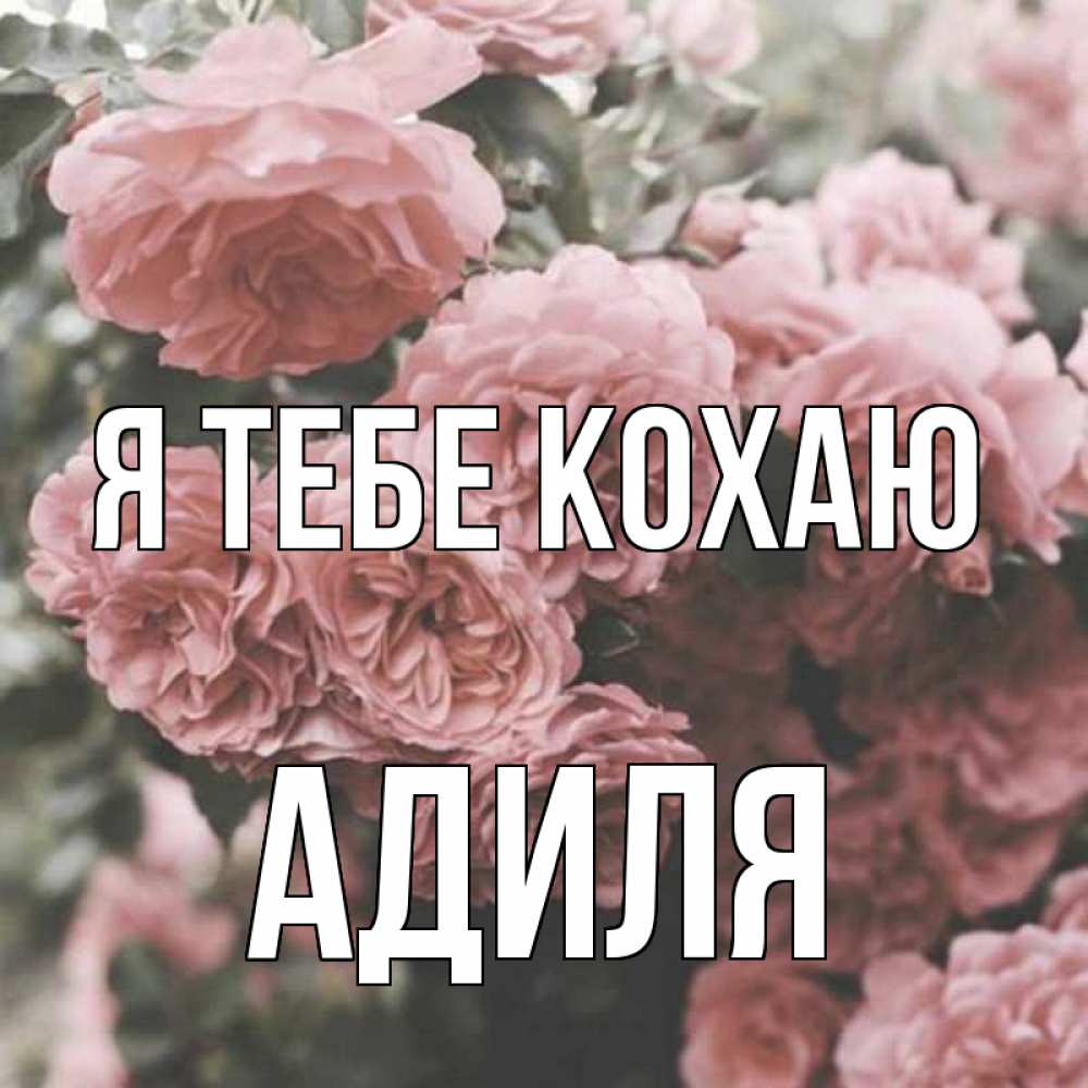 Открытка на каждый день з підписом, Адиля Я тебе кохаю розы 3 Прикольна листівка з побажанням онлайн скачати безкоштовно 