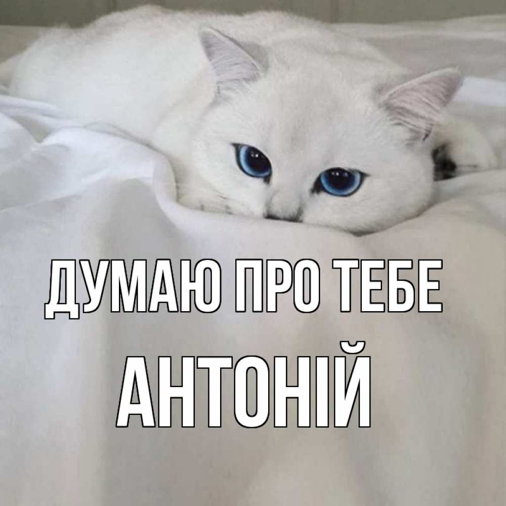 Открытка на каждый день з підписом, Антоній Думаю про тебе я очень по тебе скучаю и тоскую Прикольна листівка з побажанням онлайн скачати безкоштовно 