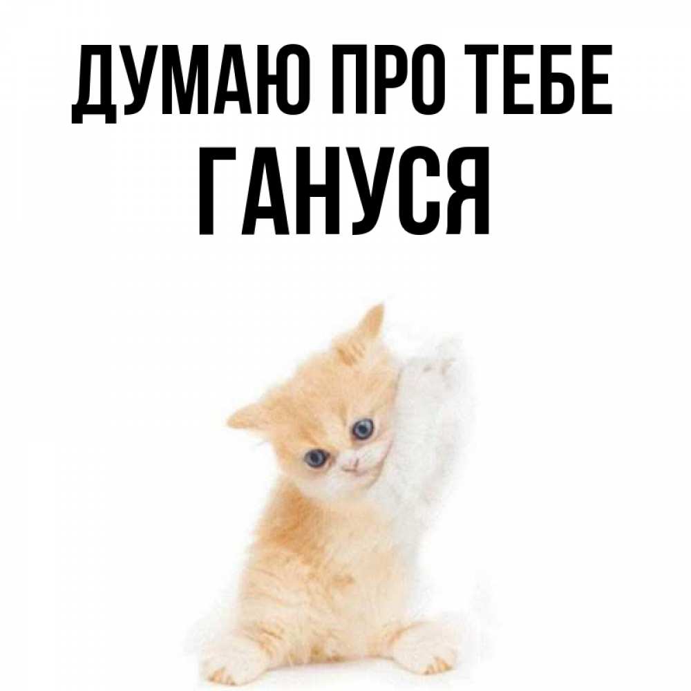 Открытка на каждый день з підписом, Гануся Думаю про тебе зверушки и милота Прикольна листівка з побажанням онлайн скачати безкоштовно 