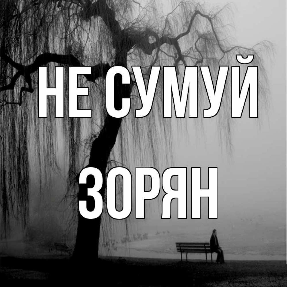 Открытка на каждый день з підписом, Зорян Не сумуй висящие ветки дерева и лавочка под деревом Прикольна листівка з побажанням онлайн скачати безкоштовно 