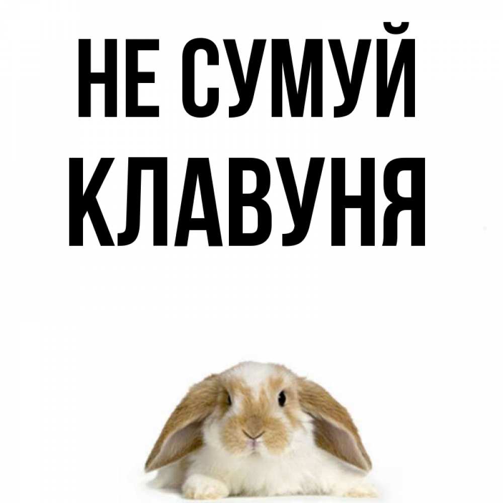 Открытка на каждый день з підписом, Клавуня Не сумуй коричнево белый заяц с большими ушками Прикольна листівка з побажанням онлайн скачати безкоштовно 