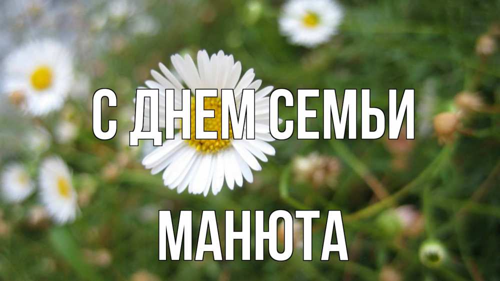 Открытка на каждый день з підписом, Манюта С днем семьи с днем семьи Прикольна листівка з побажанням онлайн скачати безкоштовно 