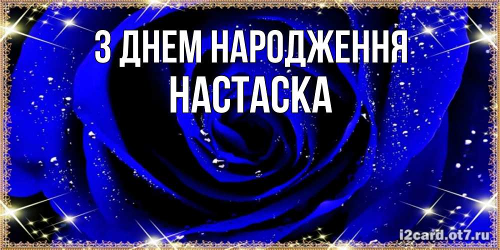 Открытка на каждый день з підписом, Настаска З Днем народження голубые цветы в росе Прикольна листівка з побажанням онлайн скачати безкоштовно 