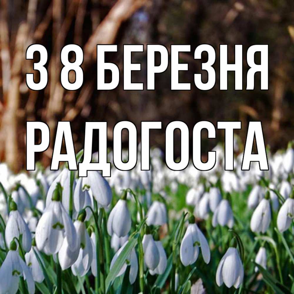 Открытка на каждый день з підписом, Радогоста З 8 БЕРЕЗНЯ с подснежниками 1 Прикольна листівка з побажанням онлайн скачати безкоштовно 