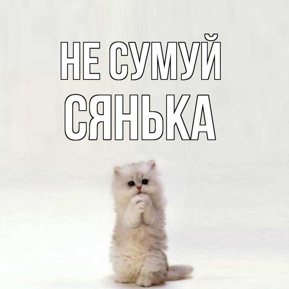 Открытка на каждый день з підписом, Сянька Не сумуй грустный кот Прикольна листівка з побажанням онлайн скачати безкоштовно 