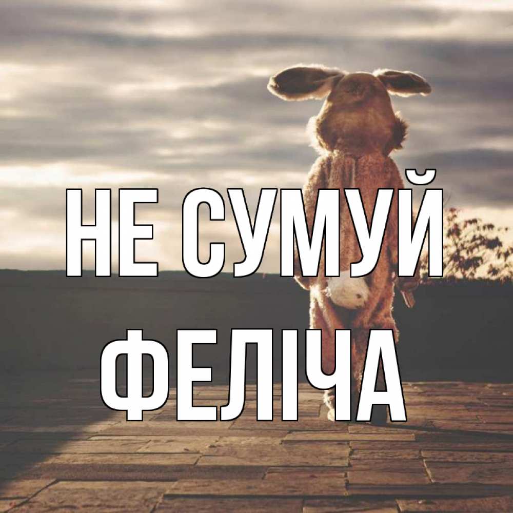 Открытка на каждый день з підписом, Феліча Не сумуй со спины Прикольна листівка з побажанням онлайн скачати безкоштовно 