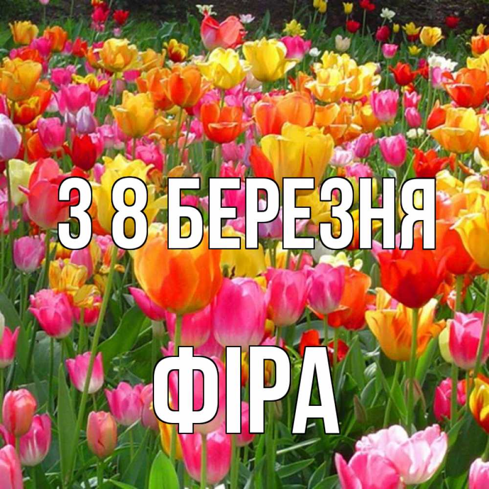 Открытка на каждый день з підписом, Фіра З 8 БЕРЕЗНЯ на международный женский день Прикольна листівка з побажанням онлайн скачати безкоштовно 