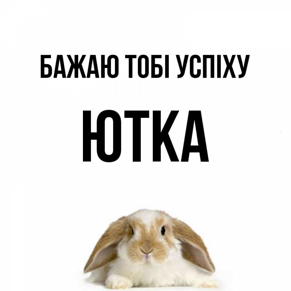 Открытка на каждый день з підписом, Ютка Бажаю тобі успіху открытки с произвольным текстом который можно вставить в открытку и создать ее самостоятельно бесплатно онлайн Прикольна листівка з побажанням онлайн скачати безкоштовно 