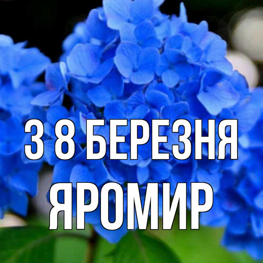 Открытка на каждый день з підписом, Яромир З 8 БЕРЕЗНЯ синие цветы Прикольна листівка з побажанням онлайн скачати безкоштовно 