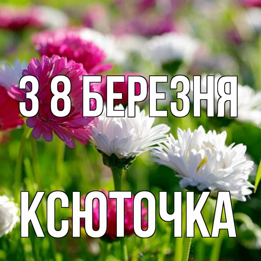 Открытка на каждый день з підписом, Ксюточка З 8 БЕРЕЗНЯ международный женский день 1 Прикольна листівка з побажанням онлайн скачати безкоштовно 