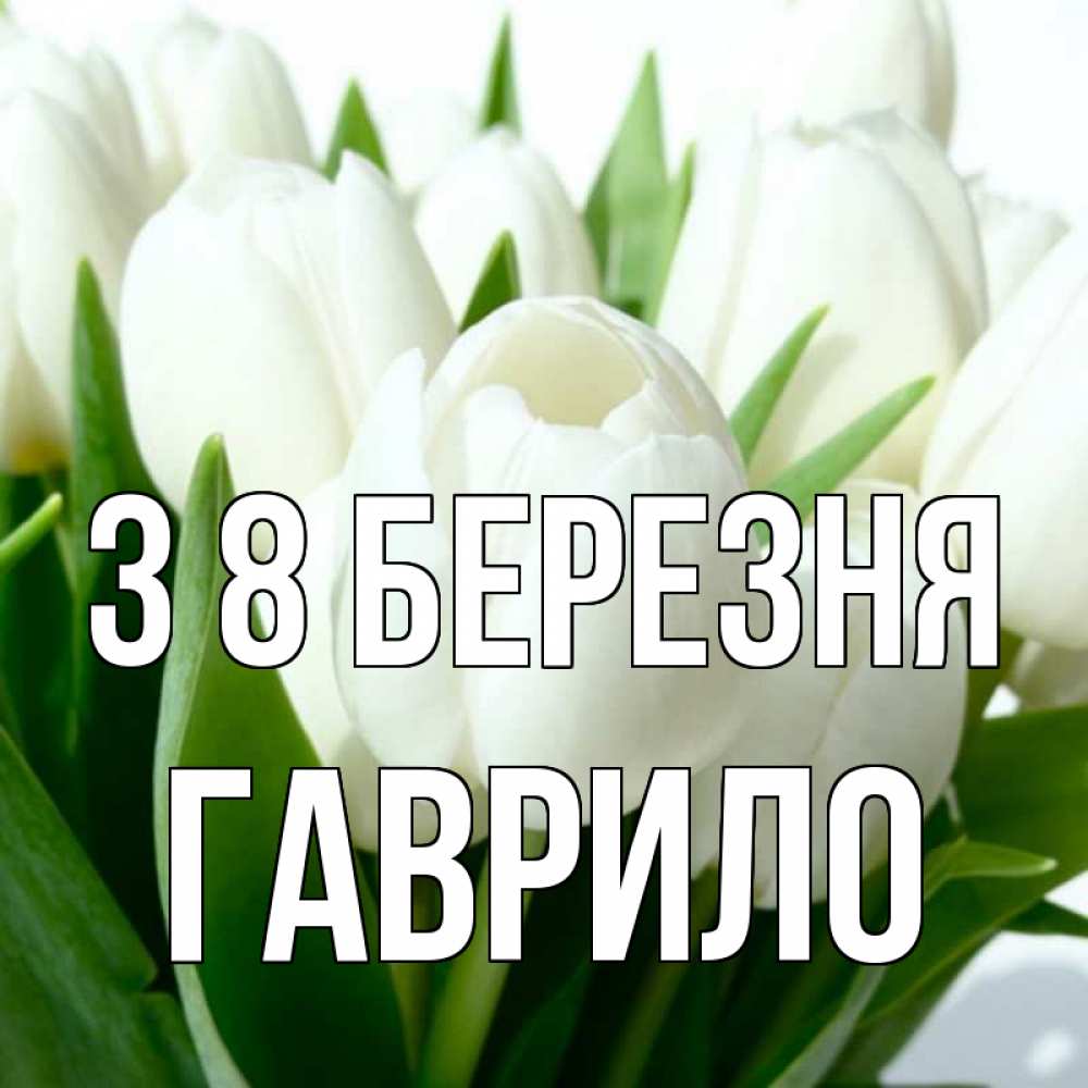 Открытка на каждый день з підписом, Гаврило З 8 БЕРЕЗНЯ цветы Прикольна листівка з побажанням онлайн скачати безкоштовно 