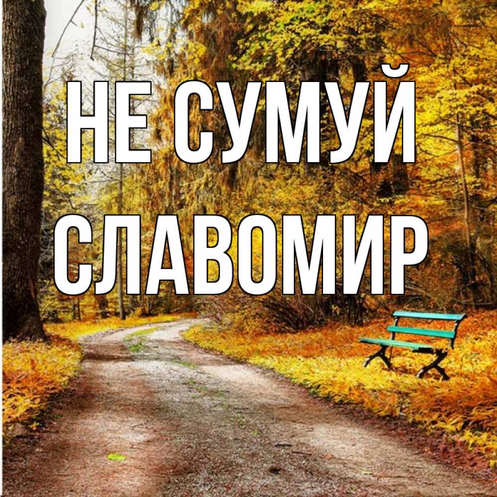 Открытка на каждый день з підписом, Славомир Не сумуй зеленая лавочка Прикольна листівка з побажанням онлайн скачати безкоштовно 