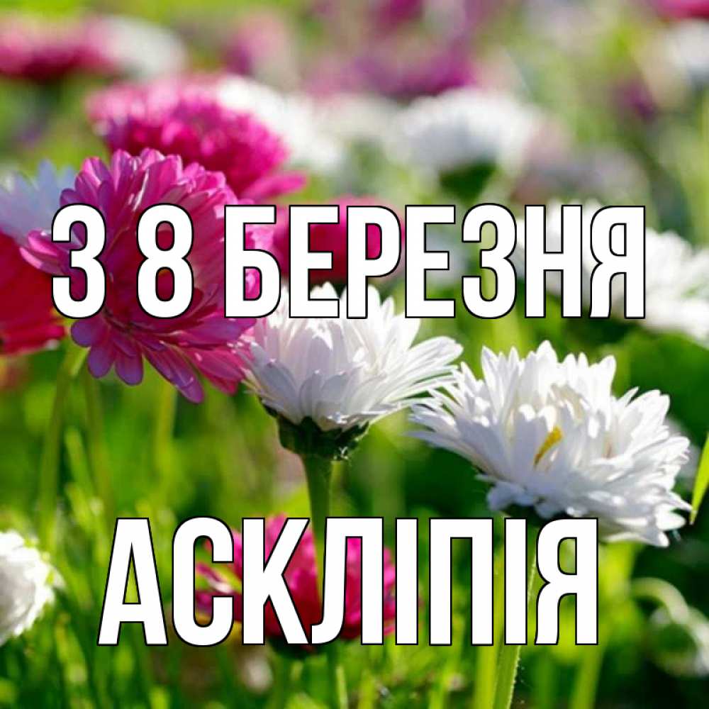 Открытка на каждый день з підписом, Аскліпія З 8 БЕРЕЗНЯ международный женский день 1 Прикольна листівка з побажанням онлайн скачати безкоштовно 