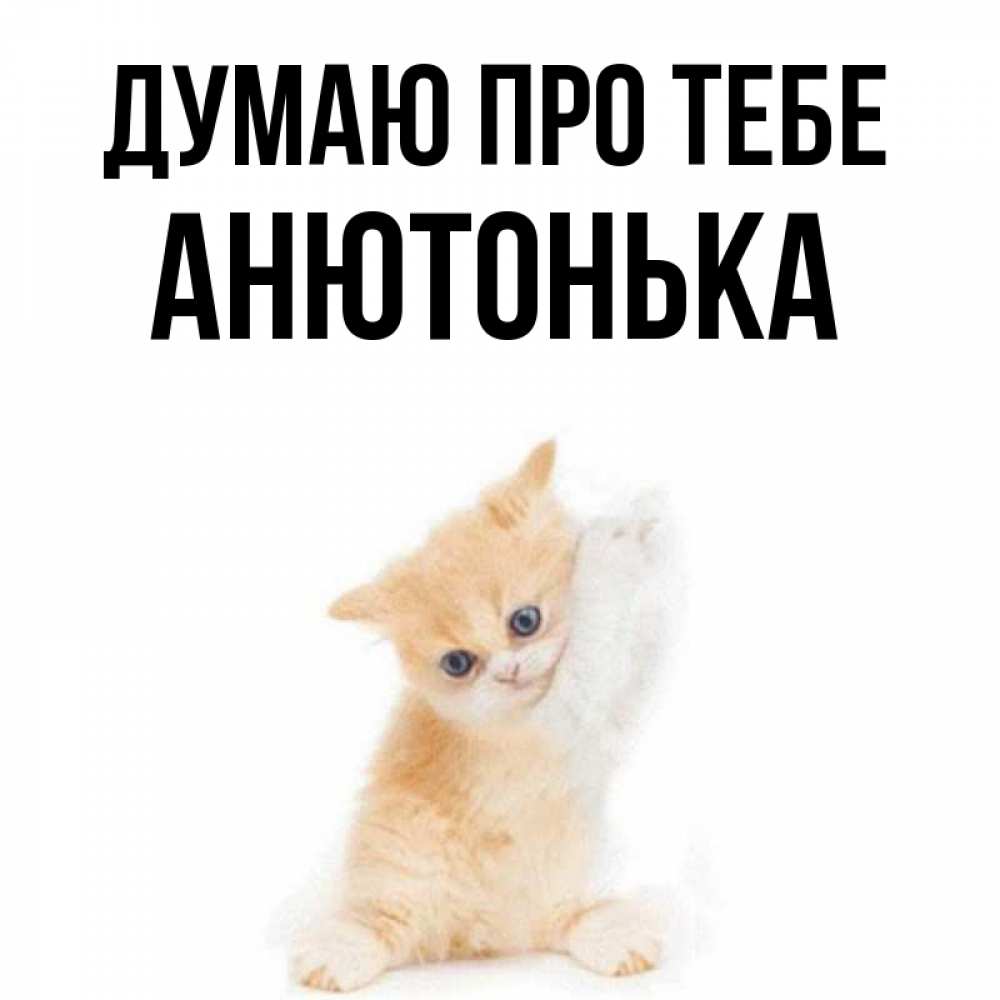 Открытка на каждый день з підписом, Анютонька Думаю про тебе зверушки и милота Прикольна листівка з побажанням онлайн скачати безкоштовно 