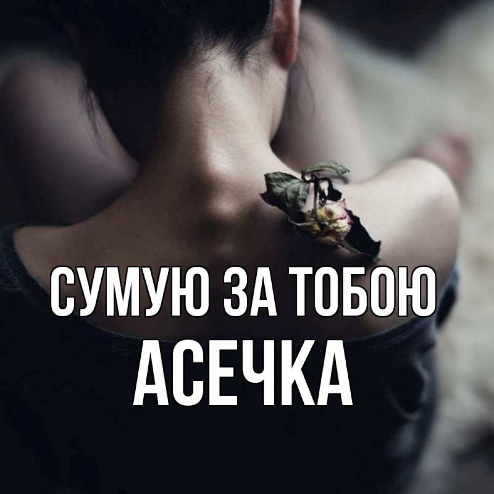 Открытка на каждый день з підписом, Асечка Сумую за тобою засох цветок Прикольна листівка з побажанням онлайн скачати безкоштовно 