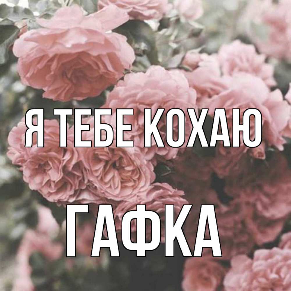 Открытка на каждый день з підписом, Гафка Я тебе кохаю розы 3 Прикольна листівка з побажанням онлайн скачати безкоштовно 