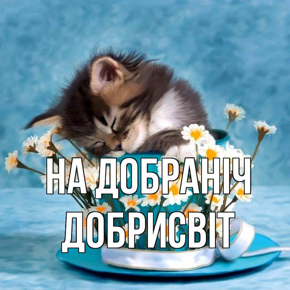 Открытка на каждый день з підписом, Добрисвіт На добраніч котенок спит в кружке с блюдцем Прикольна листівка з побажанням онлайн скачати безкоштовно 