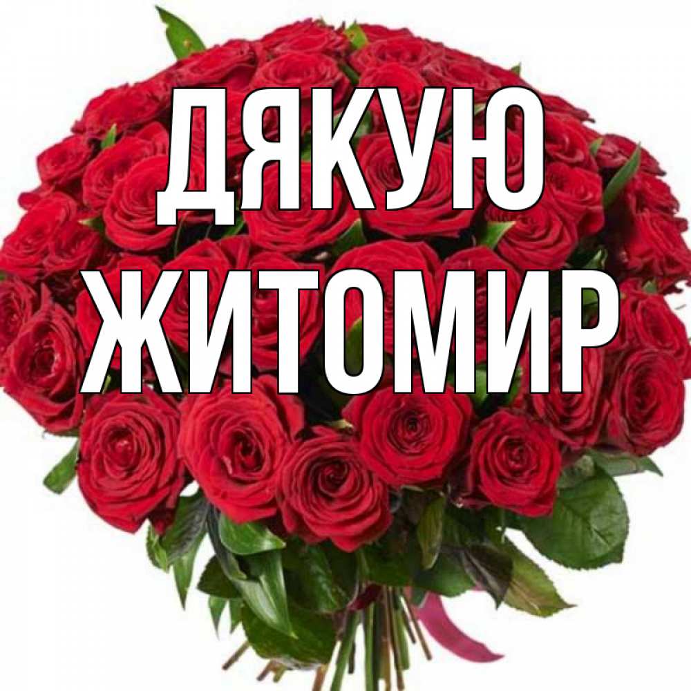 Открытка на каждый день з підписом, Житомир Дякую букет красных роз Прикольна листівка з побажанням онлайн скачати безкоштовно 