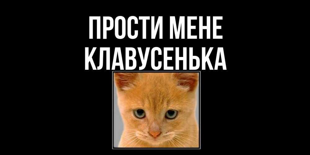 Открытка на каждый день з підписом, Клавусенька Прости мене рыжий грустный кот просит прощения Прикольна листівка з побажанням онлайн скачати безкоштовно 