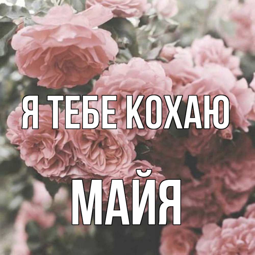Открытка на каждый день з підписом, Майя Я тебе кохаю розы 3 Прикольна листівка з побажанням онлайн скачати безкоштовно 