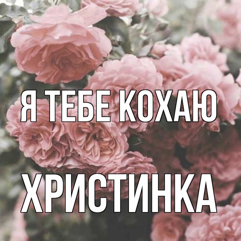 Открытка на каждый день з підписом, Христинка Я тебе кохаю розы 3 Прикольна листівка з побажанням онлайн скачати безкоштовно 