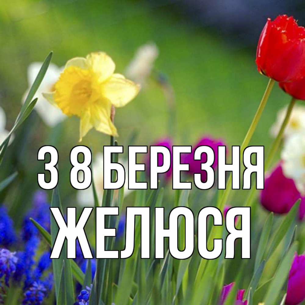 Открытка на каждый день з підписом, Желюся З 8 БЕРЕЗНЯ международный женский день 3 Прикольна листівка з побажанням онлайн скачати безкоштовно 