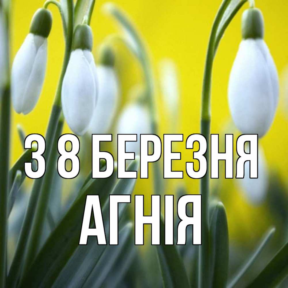 Открытка на каждый день з підписом, Агнія З 8 БЕРЕЗНЯ весенние цветы Прикольна листівка з побажанням онлайн скачати безкоштовно 