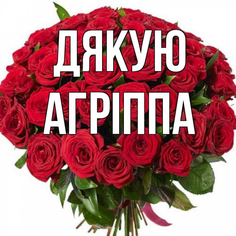 Открытка на каждый день з підписом, Агріппа Дякую букет красных роз Прикольна листівка з побажанням онлайн скачати безкоштовно 