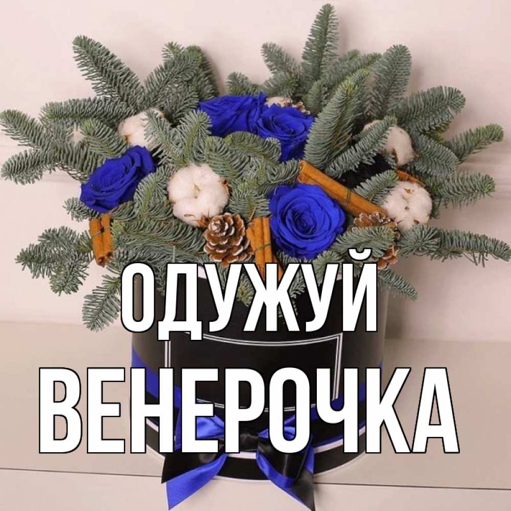 Открытка на каждый день з підписом, Венерочка Одужуй короче кто то загрузил эти шишки Прикольна листівка з побажанням онлайн скачати безкоштовно 