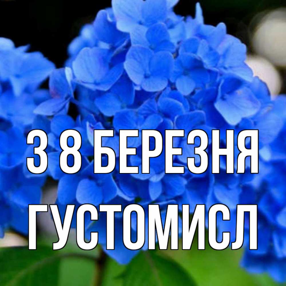Открытка на каждый день з підписом, Густомисл З 8 БЕРЕЗНЯ синие цветы Прикольна листівка з побажанням онлайн скачати безкоштовно 