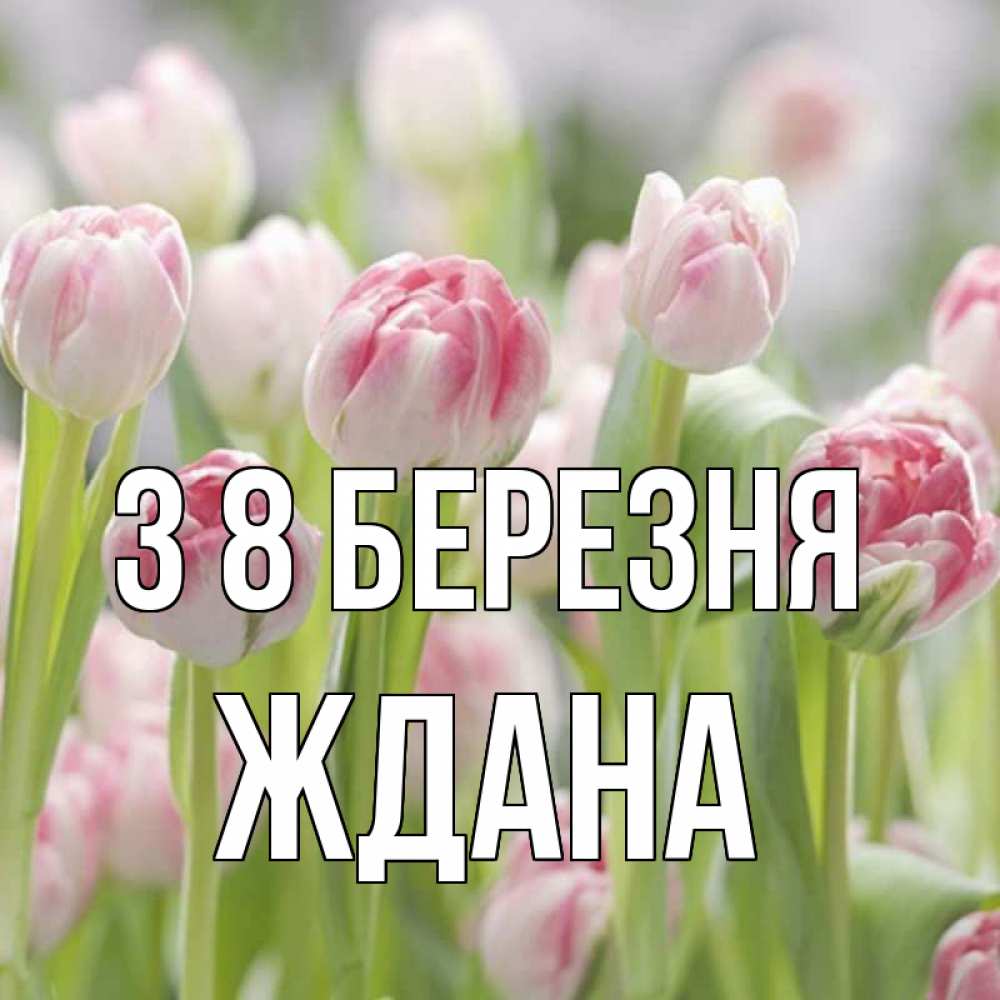 Открытка на каждый день з підписом, Ждана З 8 БЕРЕЗНЯ цветы Прикольна листівка з побажанням онлайн скачати безкоштовно 