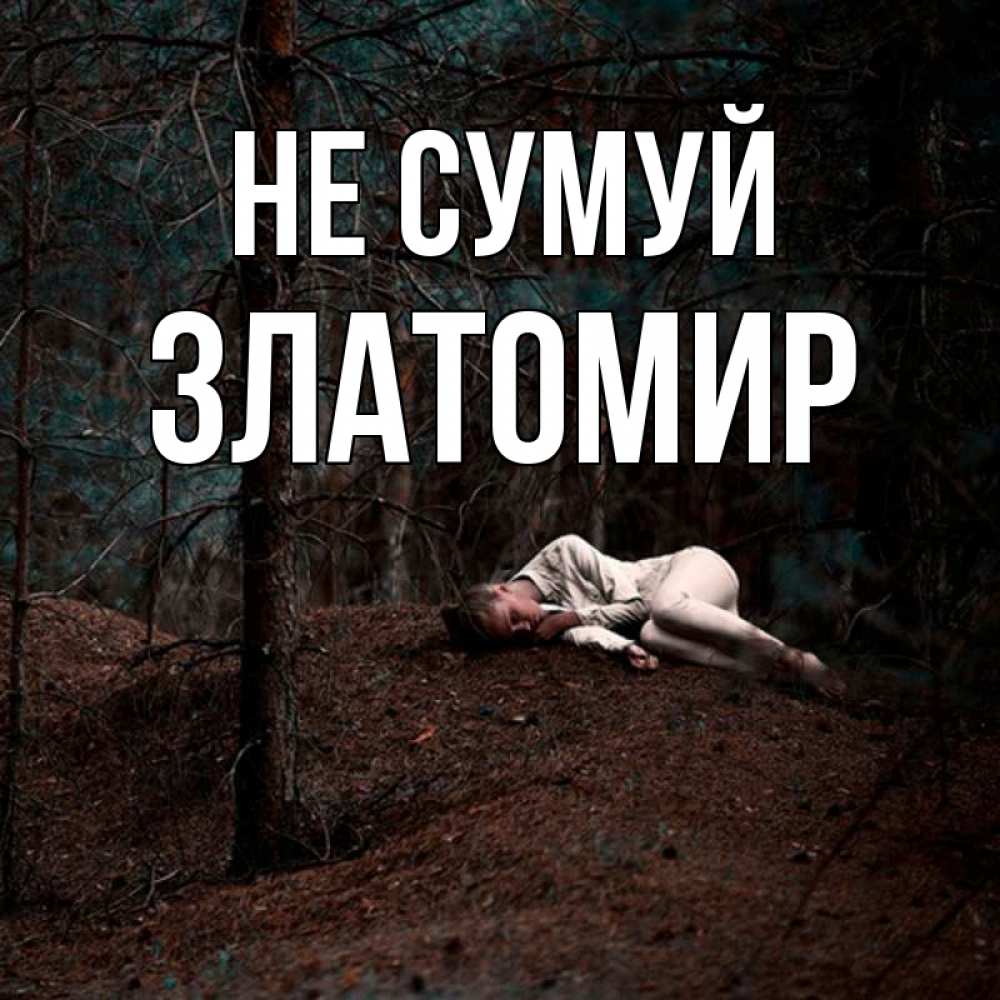 Открытка на каждый день з підписом, Златомир Не сумуй лес Прикольна листівка з побажанням онлайн скачати безкоштовно 