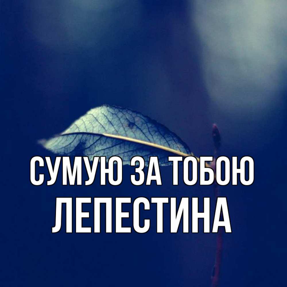 Открытка на каждый день з підписом, Лепестина Сумую за тобою одна ветка 1 Прикольна листівка з побажанням онлайн скачати безкоштовно 