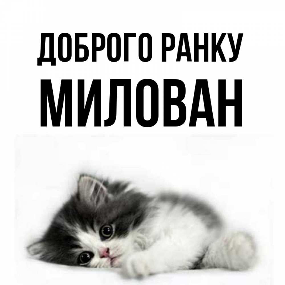 Открытка на каждый день з підписом, Милован Доброго ранку кот лапки Прикольна листівка з побажанням онлайн скачати безкоштовно 