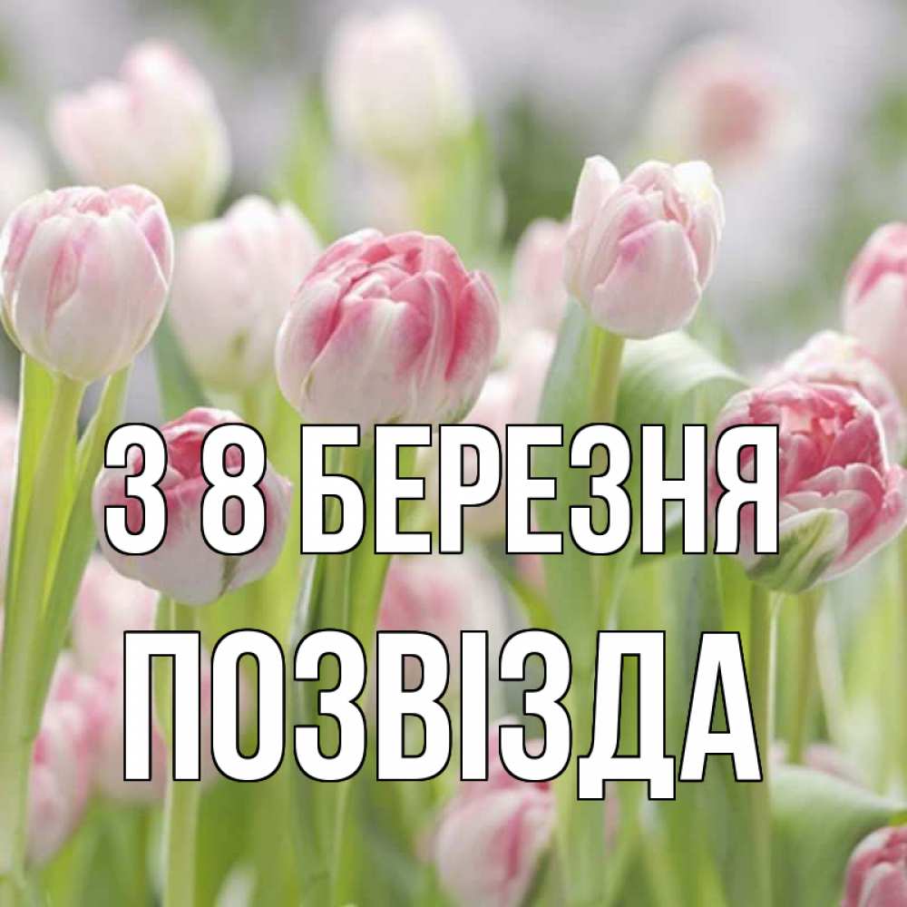 Открытка на каждый день з підписом, Позвізда З 8 БЕРЕЗНЯ цветы Прикольна листівка з побажанням онлайн скачати безкоштовно 