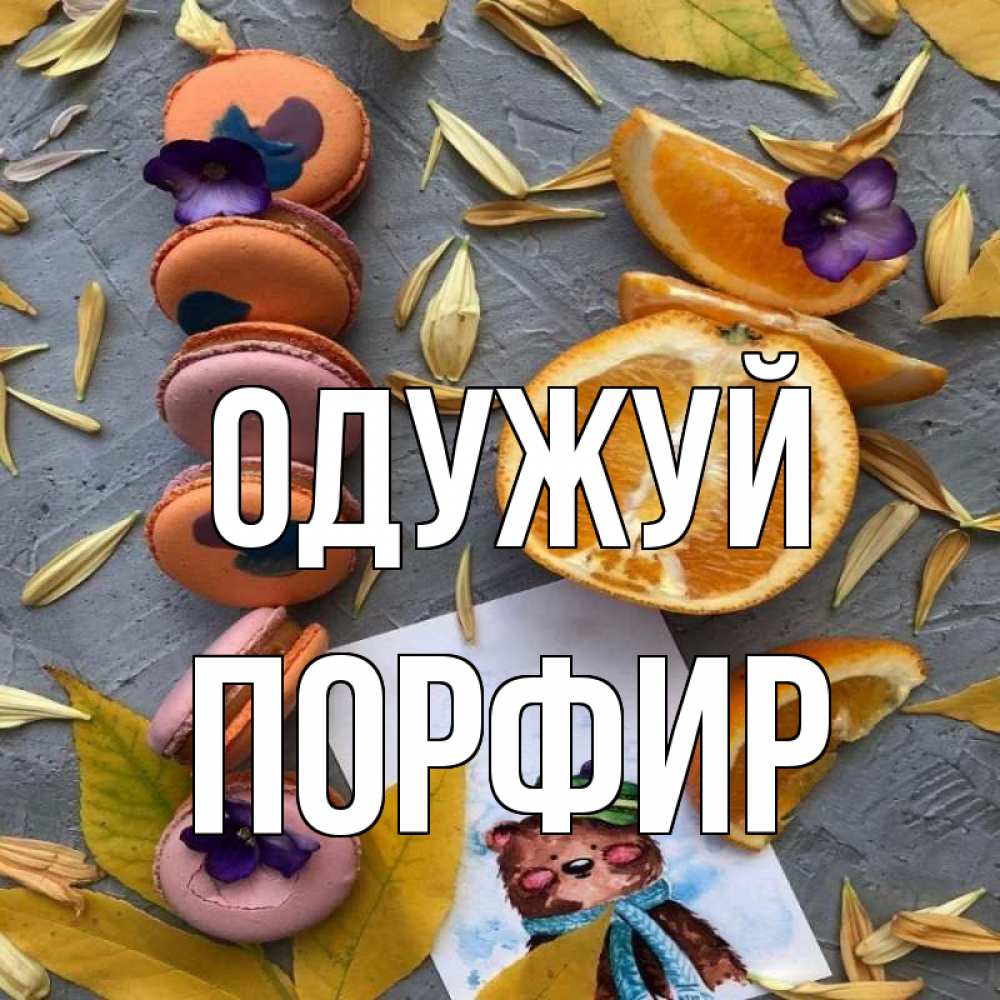 Открытка на каждый день з підписом, Порфир Одужуй не болейте Прикольна листівка з побажанням онлайн скачати безкоштовно 