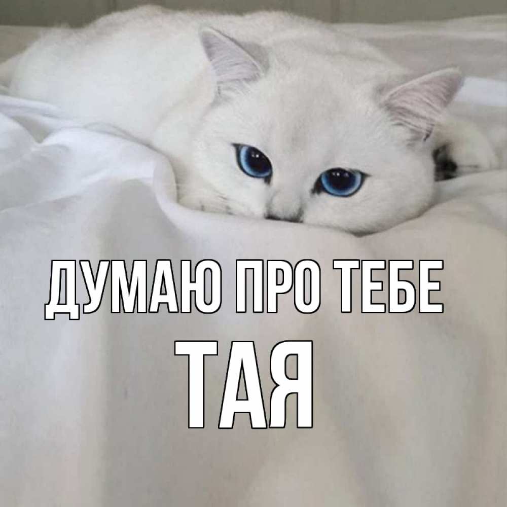 Открытка на каждый день з підписом, Тая Думаю про тебе я очень по тебе скучаю и тоскую Прикольна листівка з побажанням онлайн скачати безкоштовно 