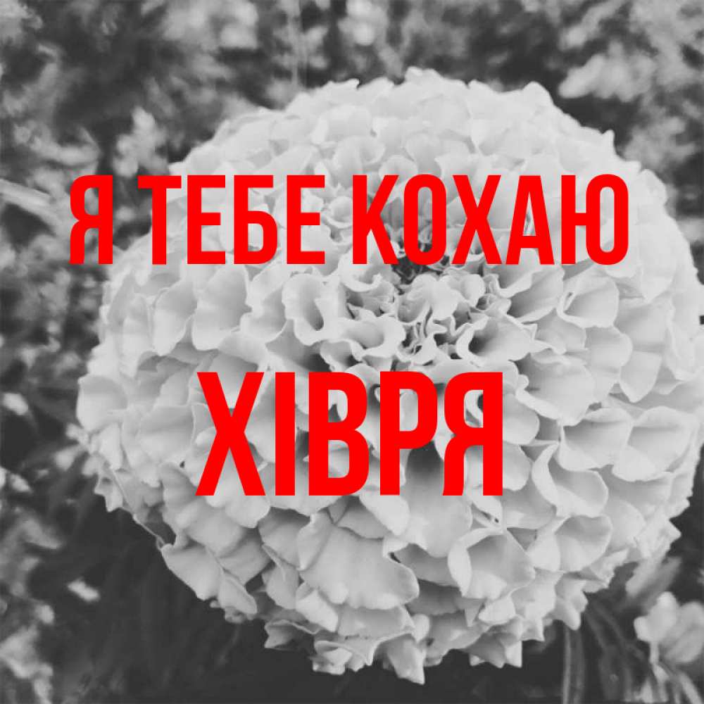Открытка на каждый день з підписом, Хівря Я тебе кохаю подпись Прикольна листівка з побажанням онлайн скачати безкоштовно 