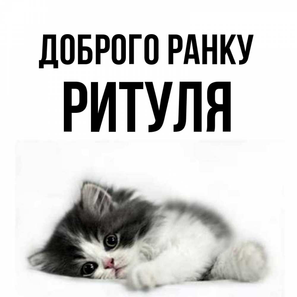 Открытка на каждый день з підписом, Ритуля Доброго ранку кот лапки Прикольна листівка з побажанням онлайн скачати безкоштовно 