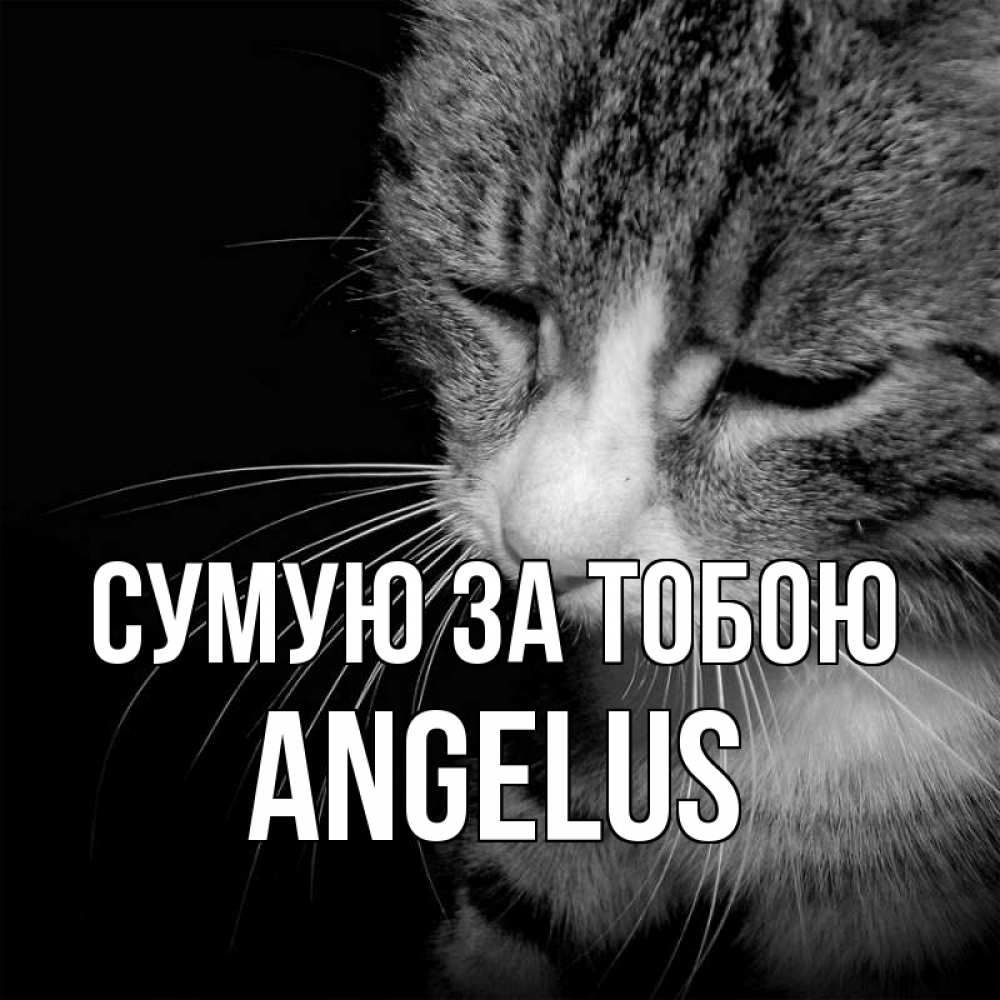Открытка на каждый день з підписом, Angelus Сумую за тобою мне скучно Прикольна листівка з побажанням онлайн скачати безкоштовно 
