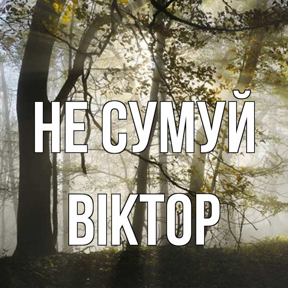 Открытка на каждый день з підписом, Віктор Не сумуй лес и свет Прикольна листівка з побажанням онлайн скачати безкоштовно 