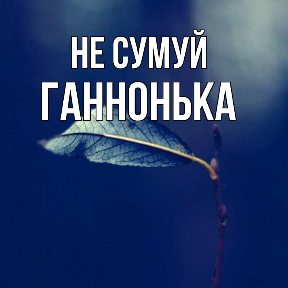 Открытка на каждый день з підписом, Ганнонька Не сумуй растение Прикольна листівка з побажанням онлайн скачати безкоштовно 