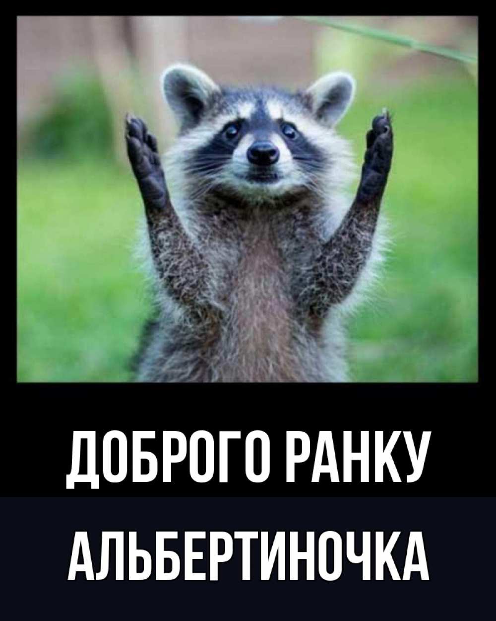 Открытка на каждый день з підписом, Альбертиночка Доброго ранку хорошее настроение утречком Прикольна листівка з побажанням онлайн скачати безкоштовно 