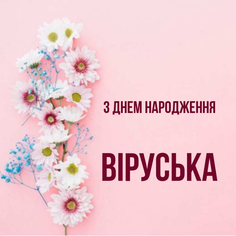 Открытка на каждый день з підписом, Віруська З Днем народження Родная моя с днем рождения тебя картинка с цветами белыми и голубыми Прикольна листівка з побажанням онлайн скачати безкоштовно 
