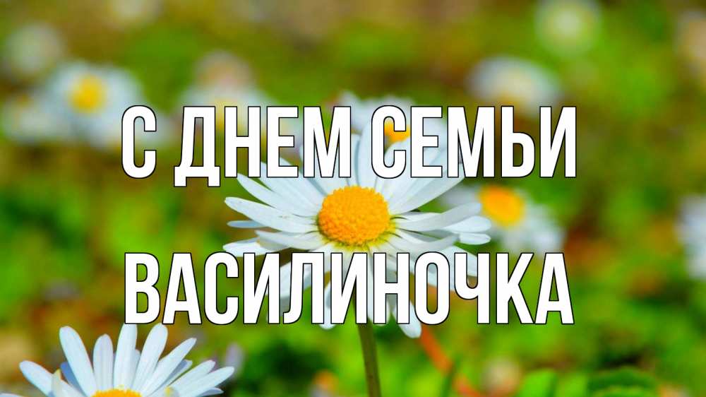 Открытка на каждый день з підписом, Василиночка С днем семьи с днем семьи Прикольна листівка з побажанням онлайн скачати безкоштовно 