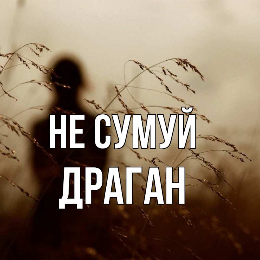 Открытка на каждый день з підписом, Драган Не сумуй грусть Прикольна листівка з побажанням онлайн скачати безкоштовно 