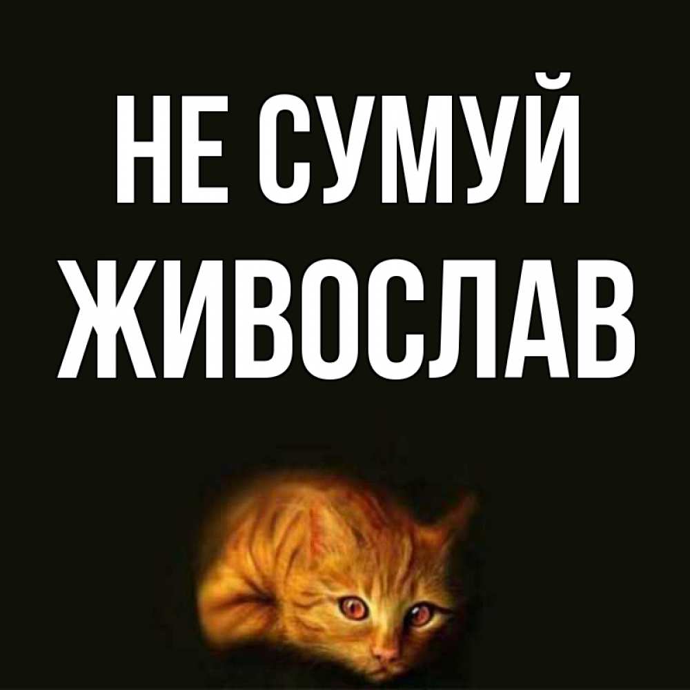 Открытка на каждый день з підписом, Живослав Не сумуй лежащий кот в темноте Прикольна листівка з побажанням онлайн скачати безкоштовно 